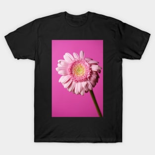 Pink flower on a pink background T-Shirt